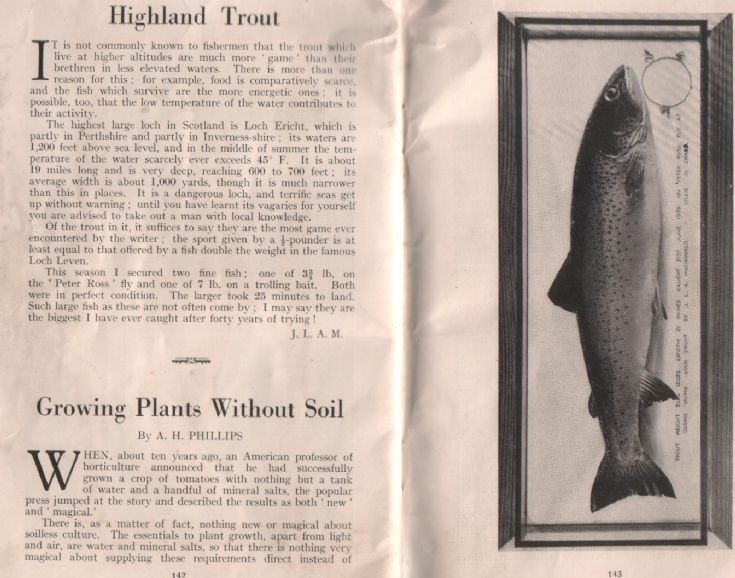 Highland Trout